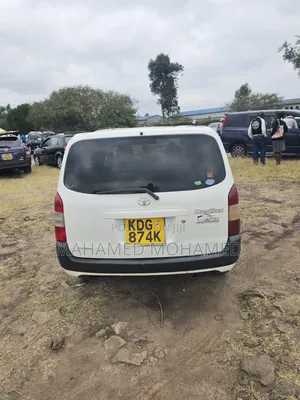 Toyota Probox 2014 White