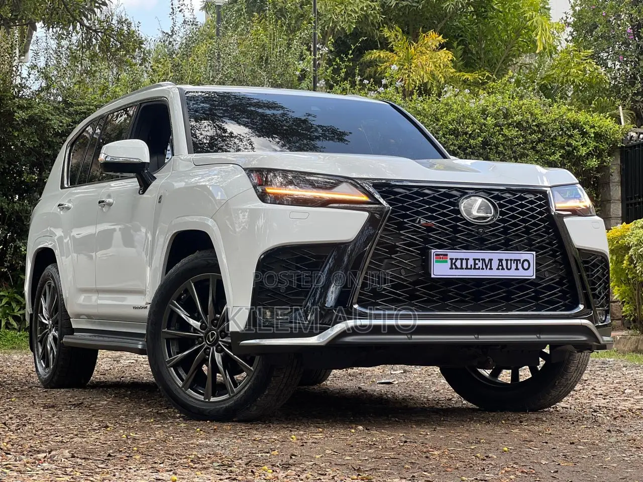 Lexus LX 500d 2023 White