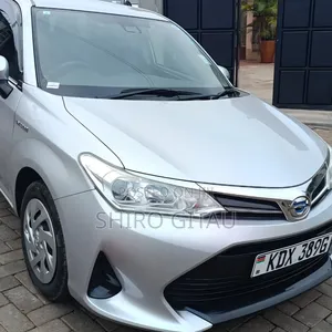 Toyota Corolla Fielder 2019 Silver