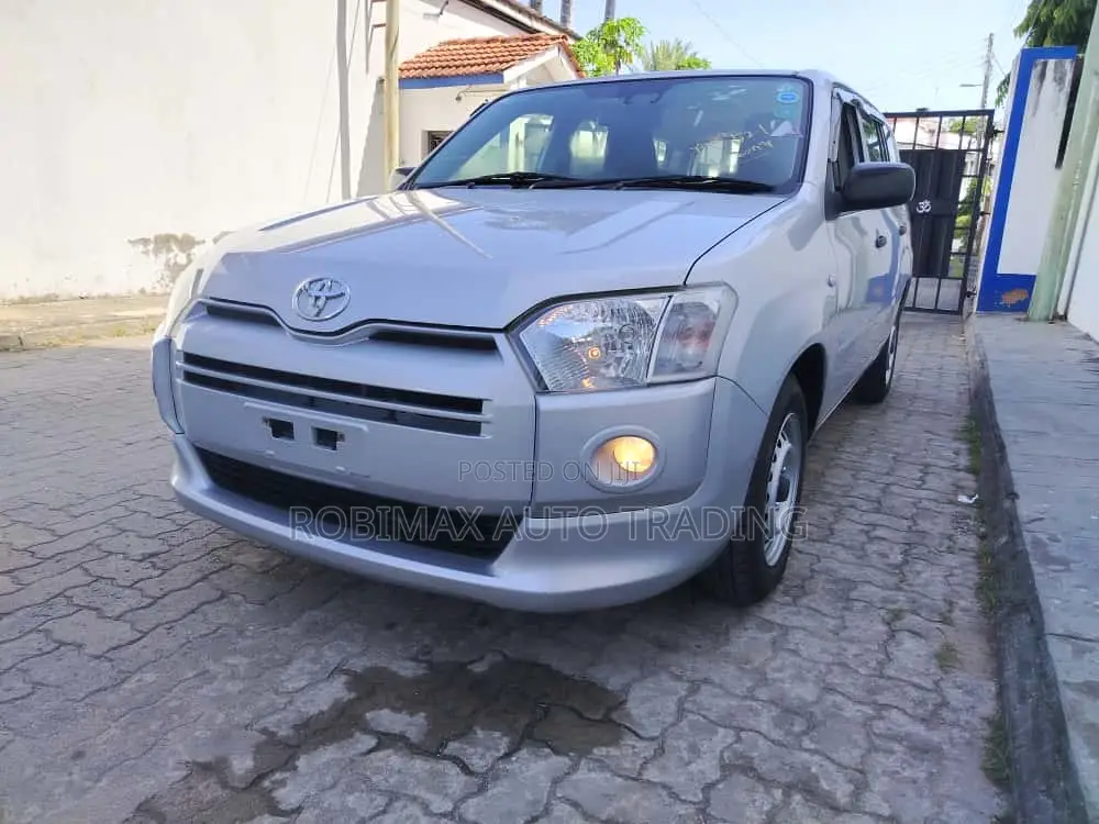 Toyota Probox 2019 Silver