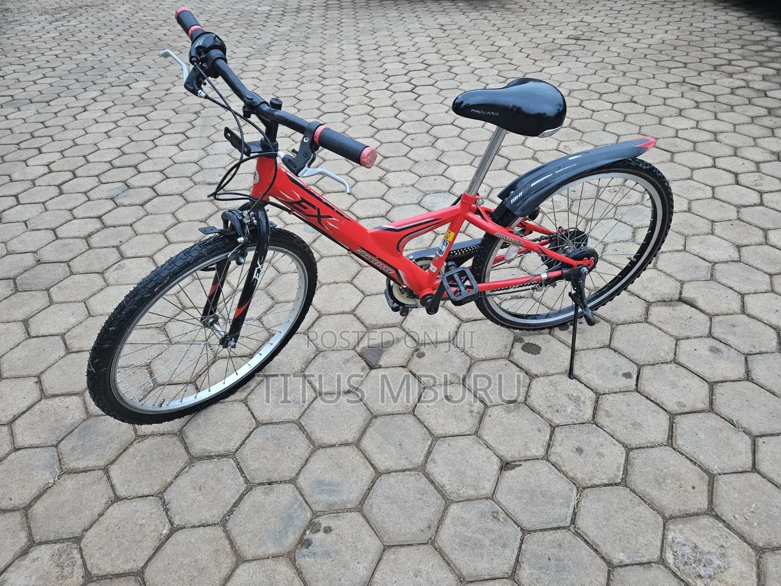 Birdgeatone Bike Size 22