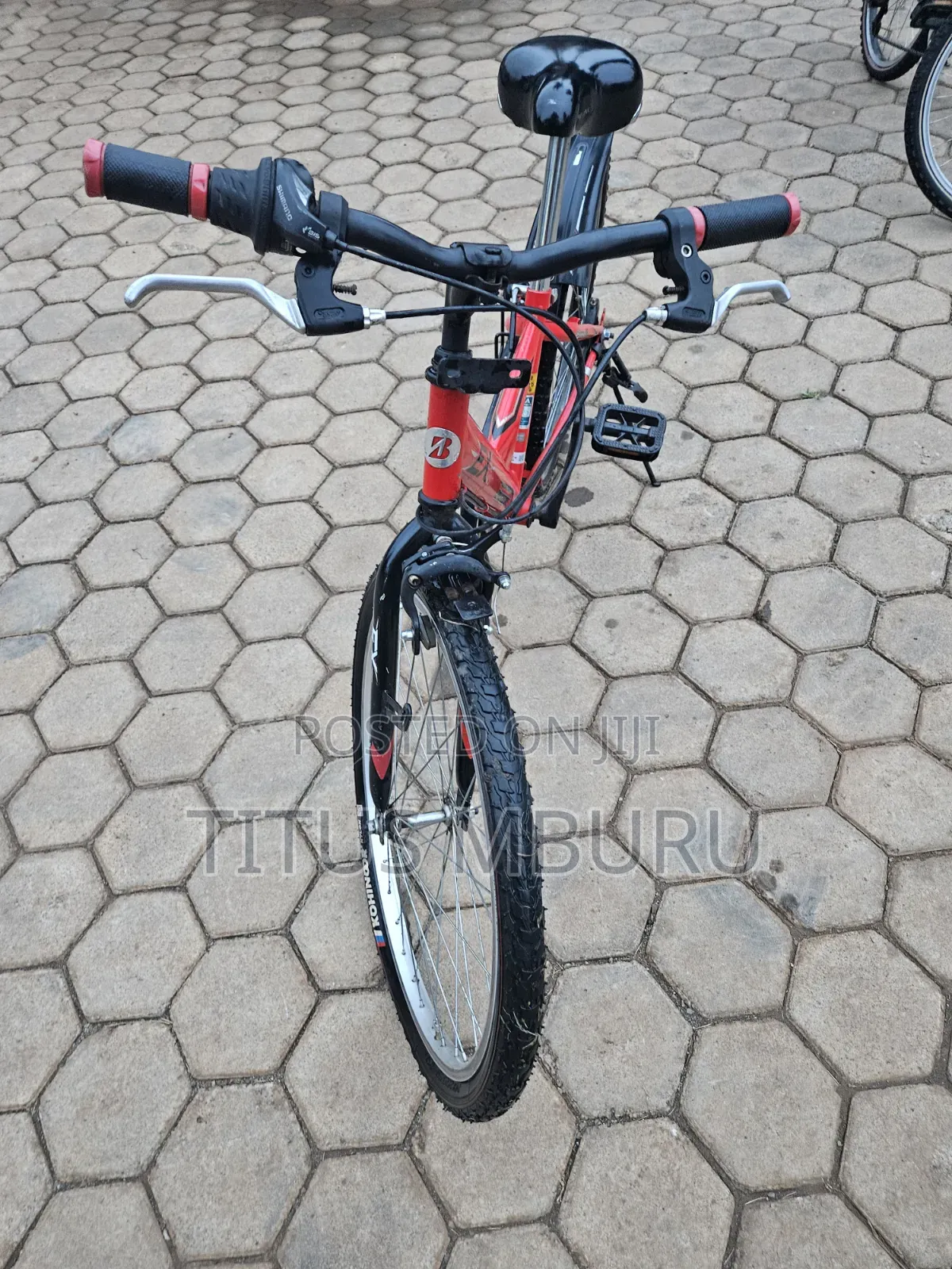Birdgeatone Bike Size 22