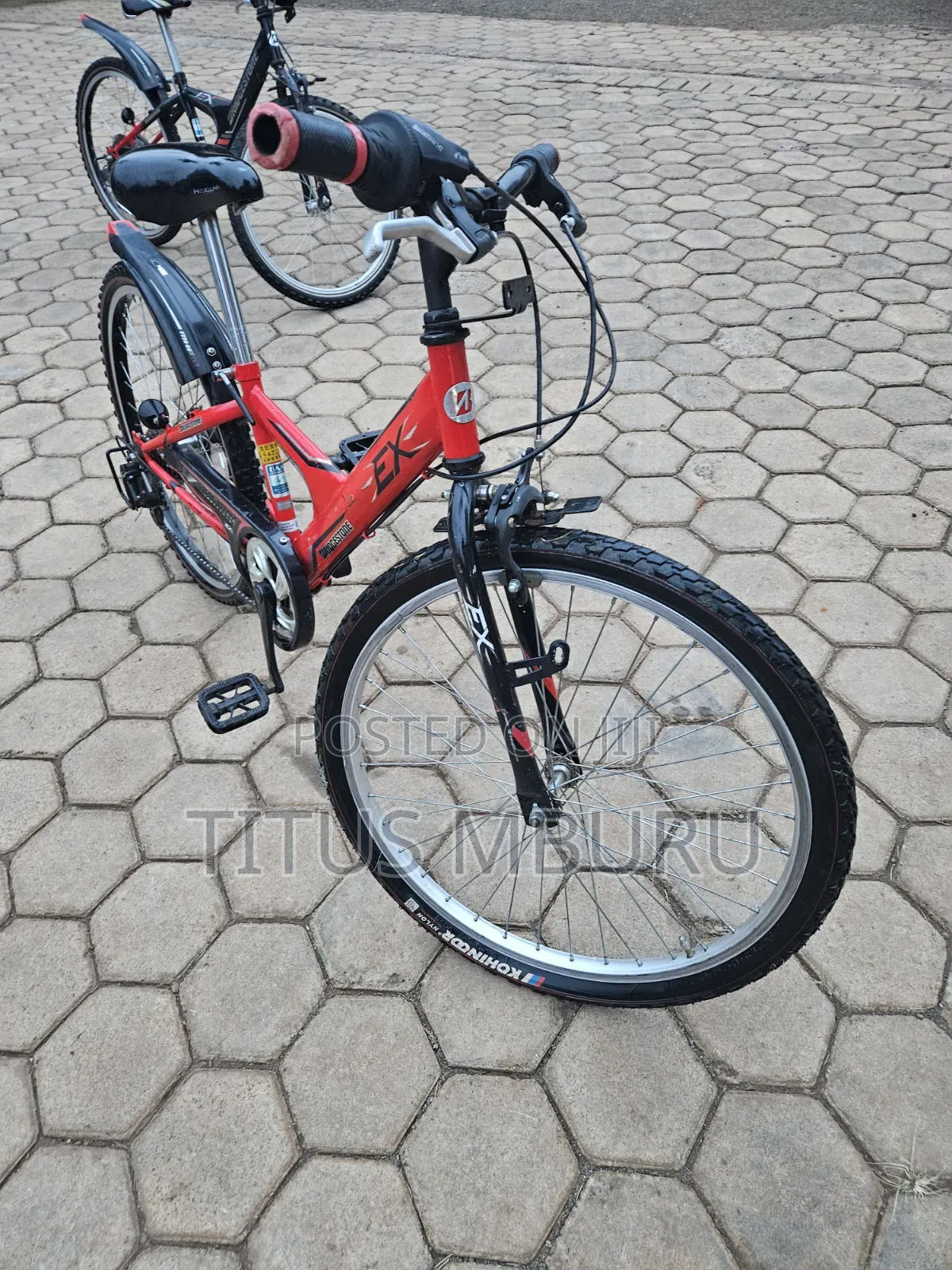 Birdgeatone Bike Size 22