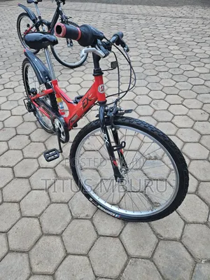 Birdgeatone Bike Size 22