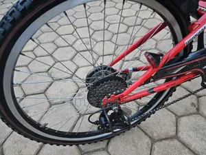 Birdgeatone Bike Size 22