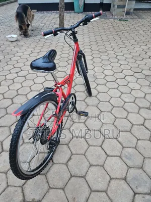 Birdgeatone Bike Size 22