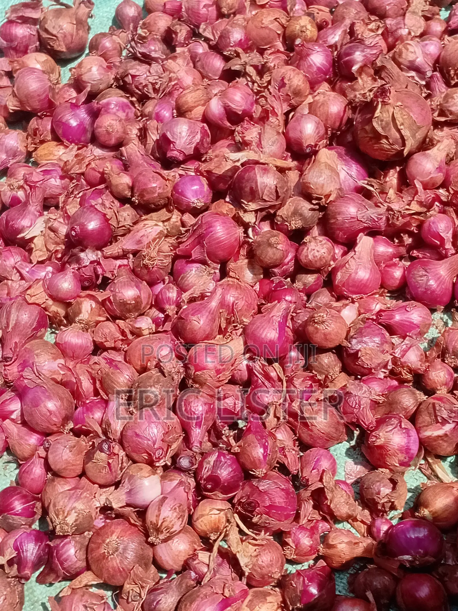 Red Onions