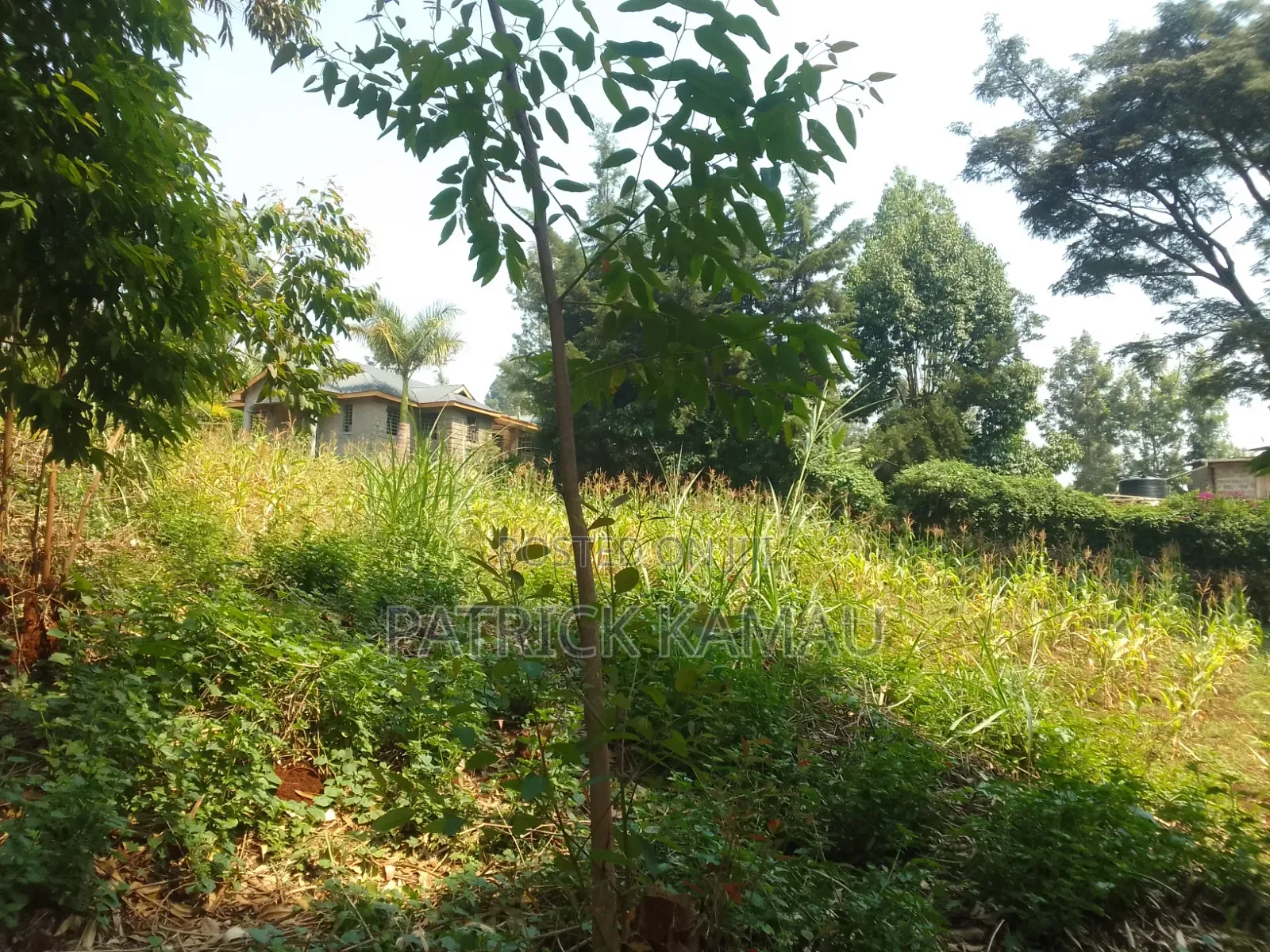 50x100 Plot Along Laini Kiambu Tarmac