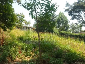 50x100 Plot Along Laini Kiambu Tarmac