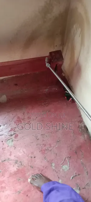 Detailed Bedbugs Controle