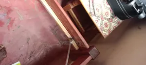 Detailed Bedbugs Controle