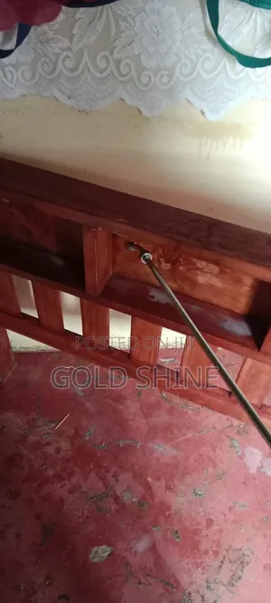 Detailed Bedbugs Controle