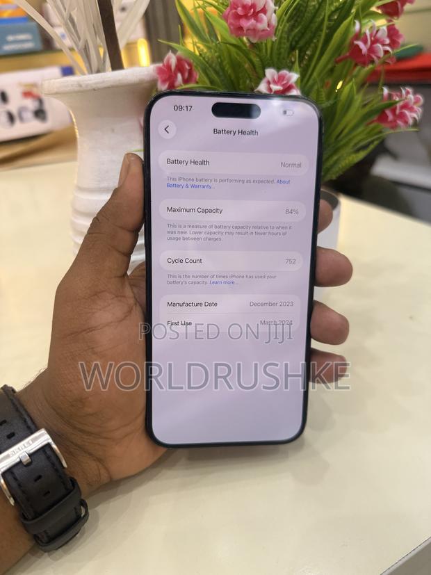 Apple iPhone 15 Pro Max 256 GB Black