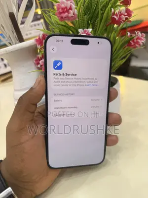 Apple iPhone 15 Pro Max 256 GB Black