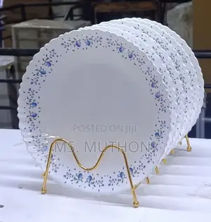 Dinner Is Served in Style! 10.5” Opal Ceramic Dinner Plates