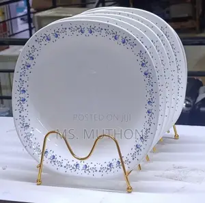 Dinner Is Served in Style! 10.5” Opal Ceramic Dinner Plates