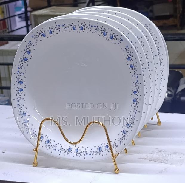 Dinner Is Served in Style! 10.5” Opal Ceramic Dinner Plates