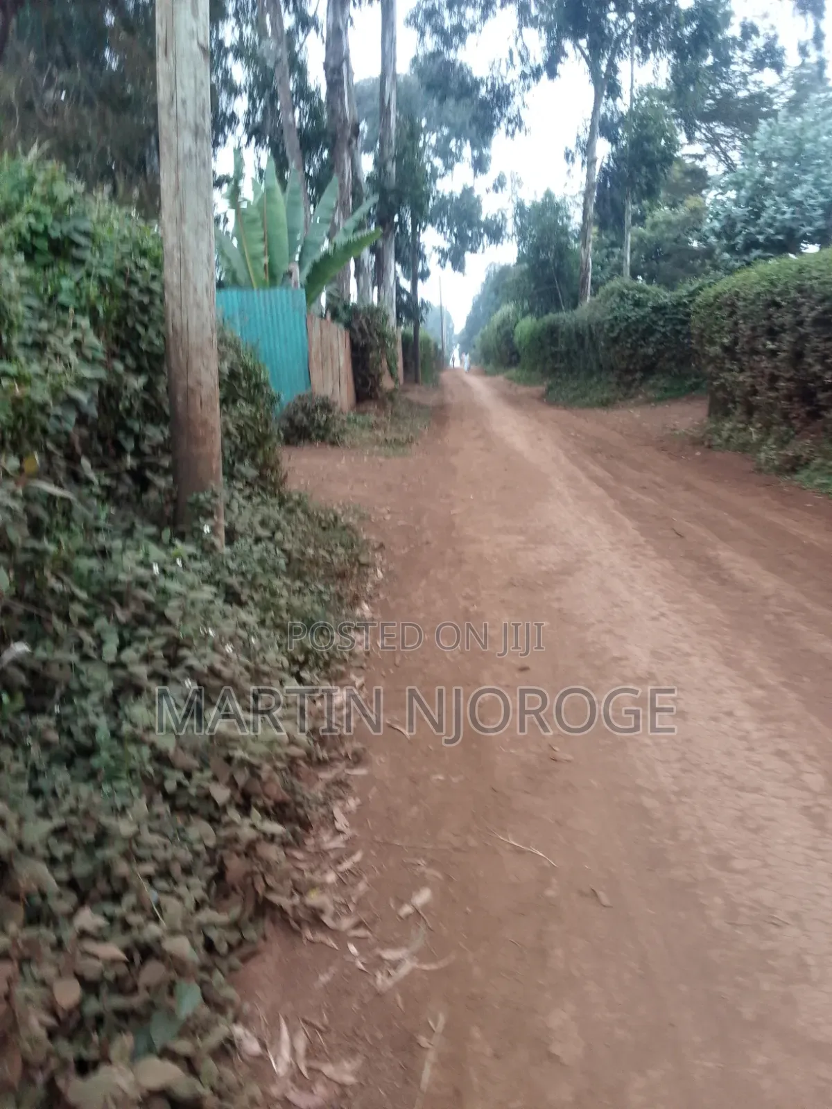 1⁄2 Acre Gitithia, Uplands