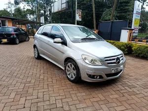 Mercedes-Benz B-Class 2009 Silver