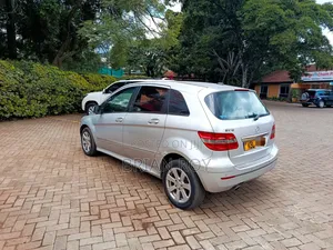 Mercedes-Benz B-Class 2009 Silver