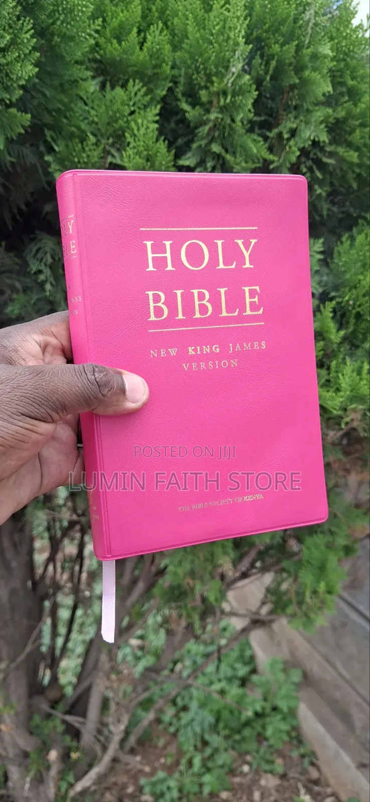 New King James Bible Version (Pink)