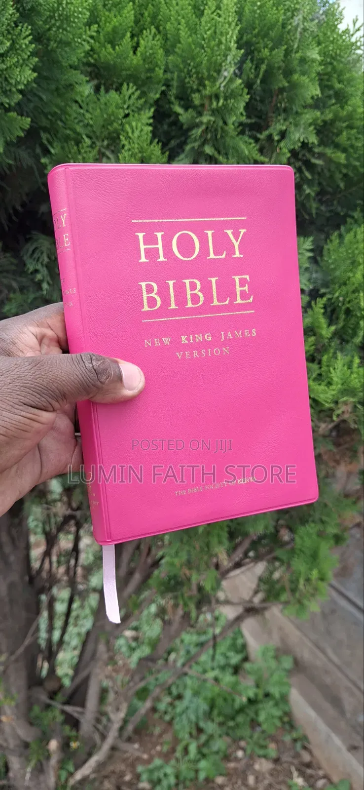 New King James Bible Version (Pink)