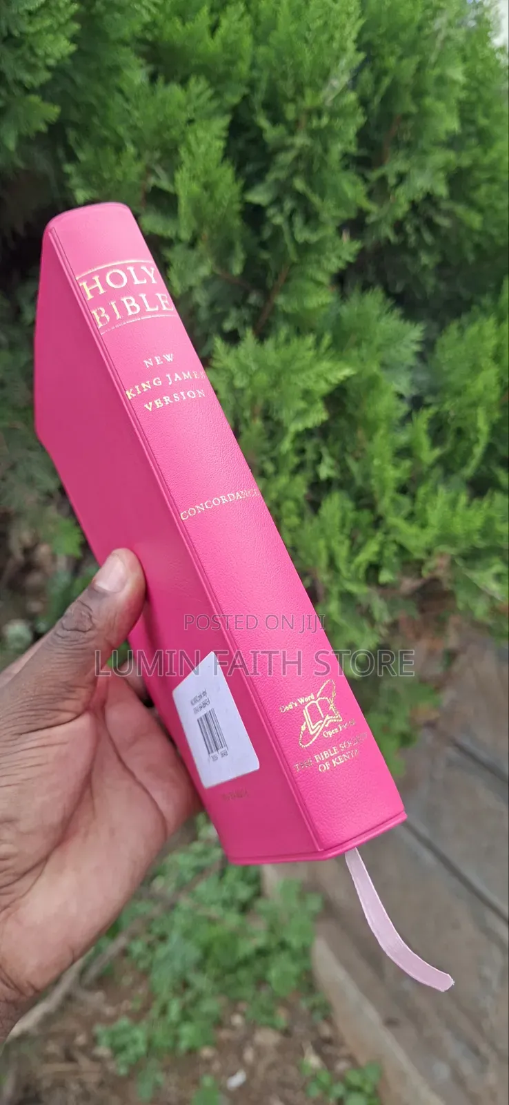 New King James Bible Version (Pink)