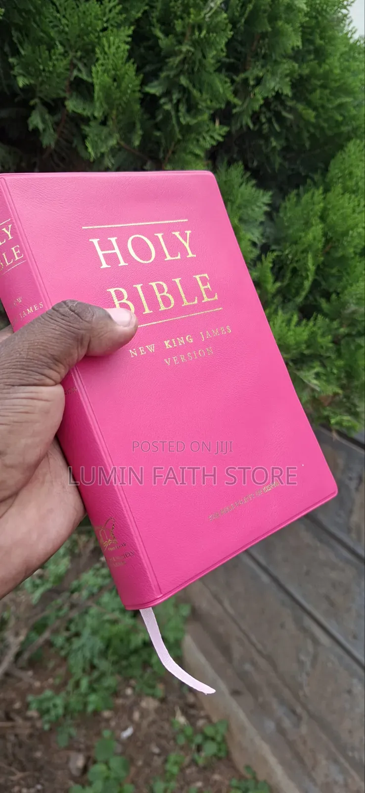 New King James Bible Version (Pink)