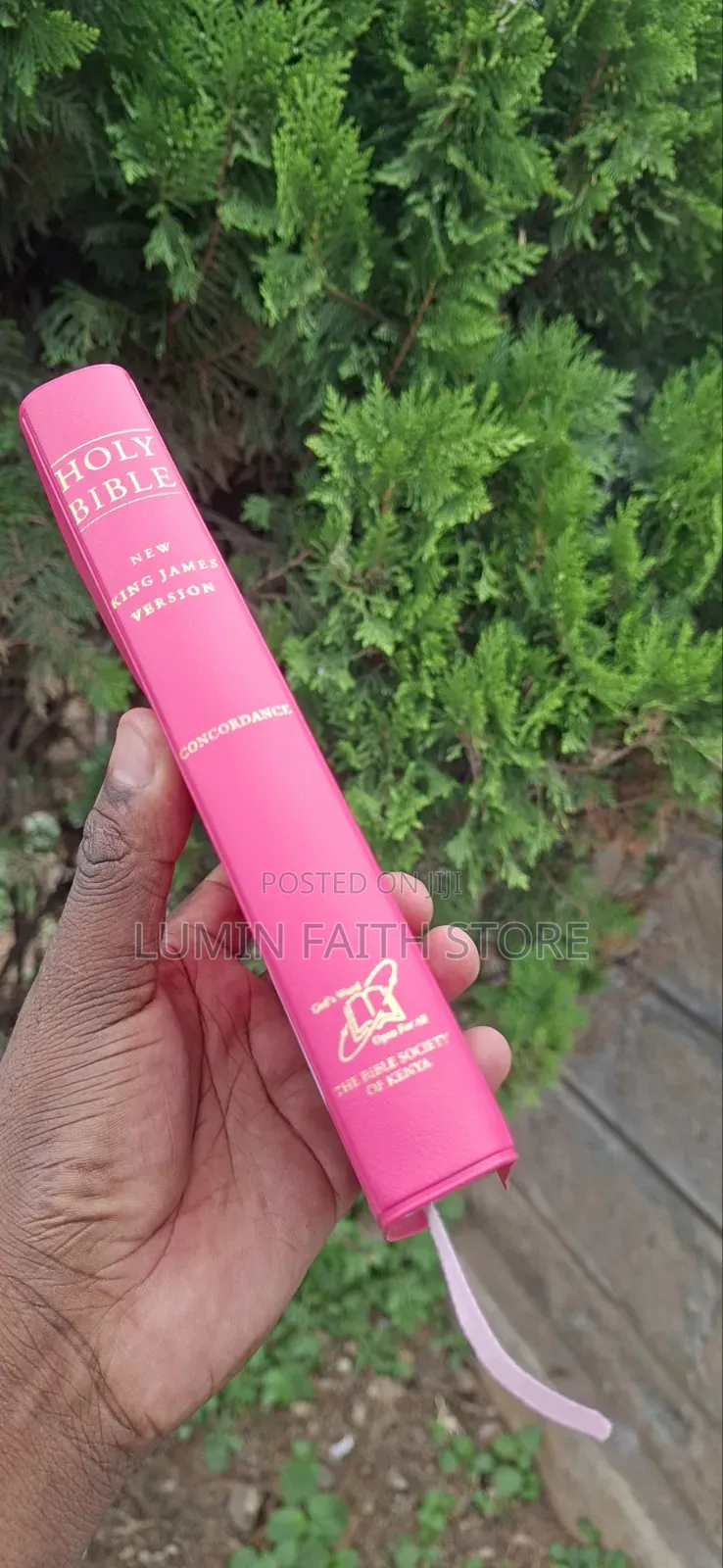 New King James Bible Version (Pink)