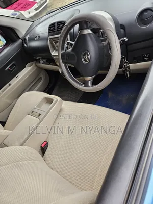 Toyota Passo 2009 Blue