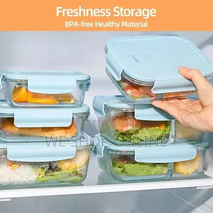 Borosilicate Glass Food Storage Containers With Lids