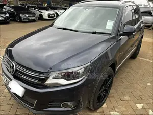 Volkswagen Tiguan 2015 Blue