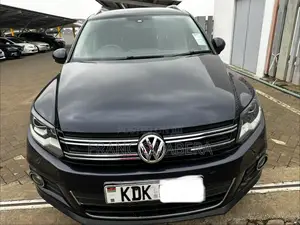 Volkswagen Tiguan 2015 Blue