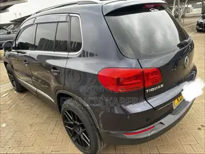 Volkswagen Tiguan 2015 Blue