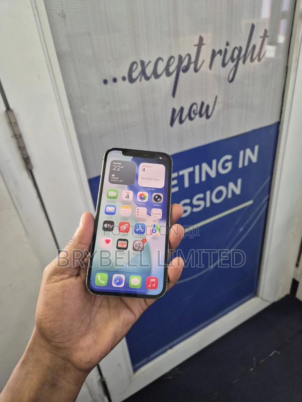 Apple iPhone 12 Pro 256 GB Gray - thumbnail 6