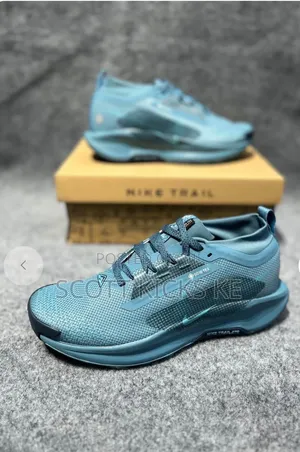 Nike Pegasus Trail 5 Gore-Tex.