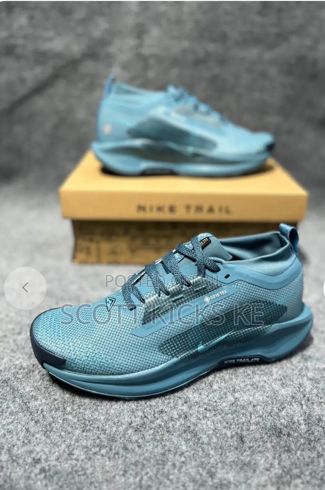 Nike Pegasus Trail 5 Gore-Tex.