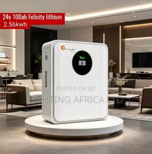 Felicity 24v - 100ah (2.56kwh) Lithium Ion Battery for Off-Grid Kits