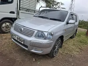 Toyota Succeed 2013 Gray