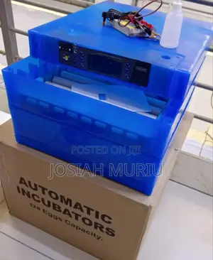 128 Eggs AC and Dc Automatic Incubator