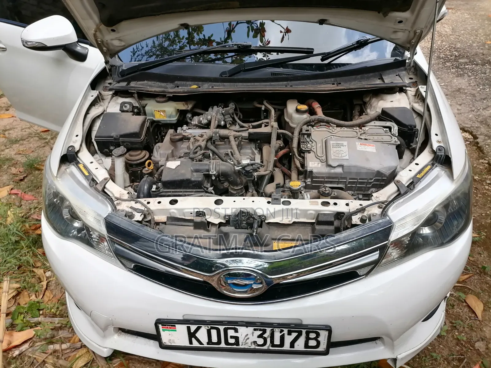 Toyota Corolla Fielder 2014 Pearl