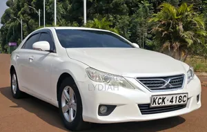 Toyota Mark X 2010 White