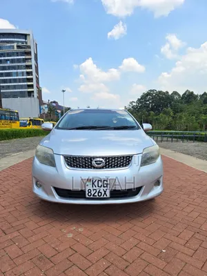 Toyota Corolla Fielder 2010 Silver