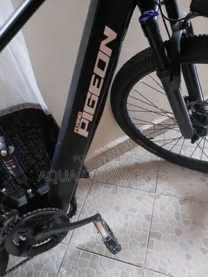 Electric Mountain Bike Size 27