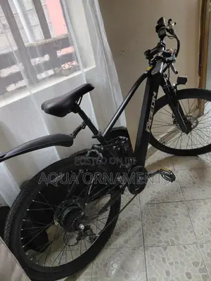 Electric Mountain Bike Size 27