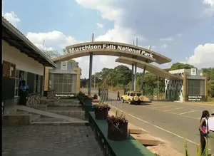 We Offer Tailored Made Safaris Packages Across East Africa