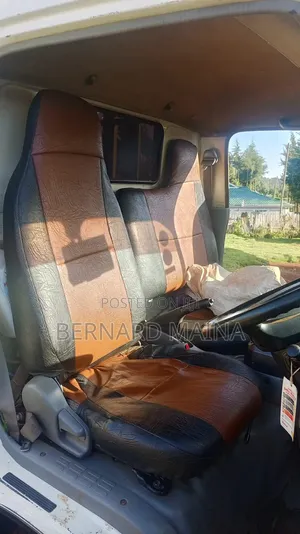 Hino Dutro Truck