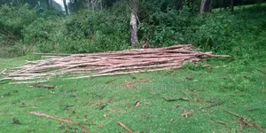 Property Solutions