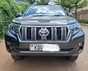 Toyota Land Cruiser Prado 2010 Gray