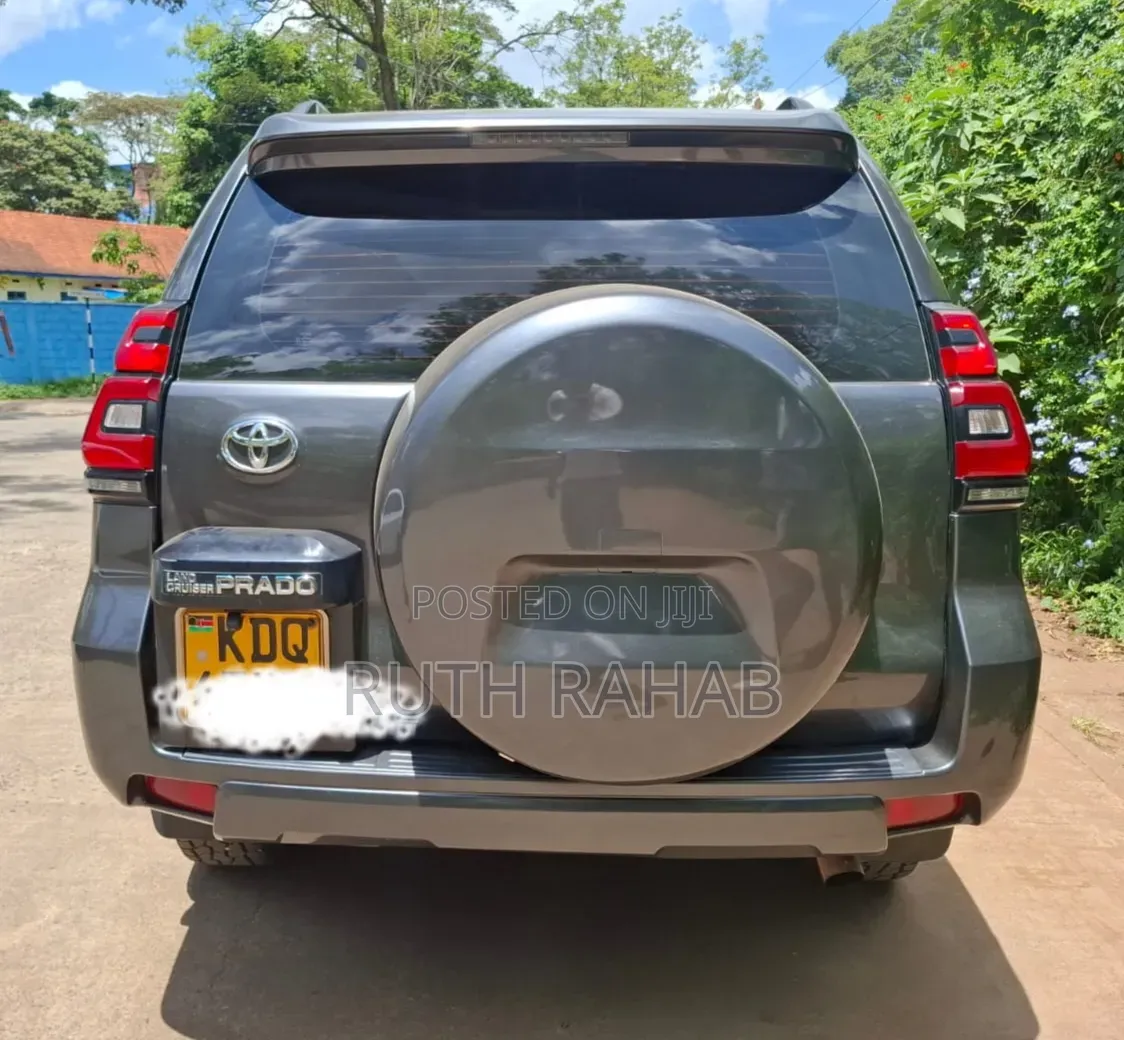 Toyota Land Cruiser Prado 2010 Gray